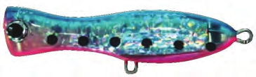 031 blue pink transparent