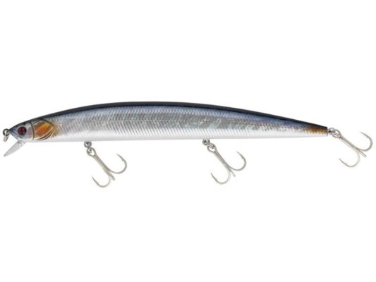 A06 AURORA MINNOW