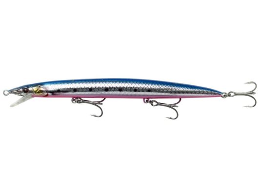 Pink Belly Sardine PHP