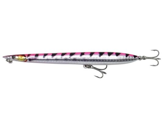 PINK BARRACUDA