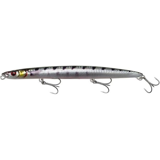 BARRACUDA