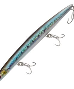 SARDINE