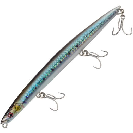 SARDINE